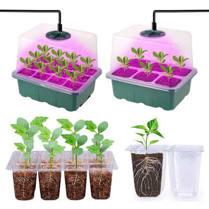 LED Grow Light for Seed Starter — Greenhouse Germination Light, Compatible with Seedling Kits & Humidity Dome