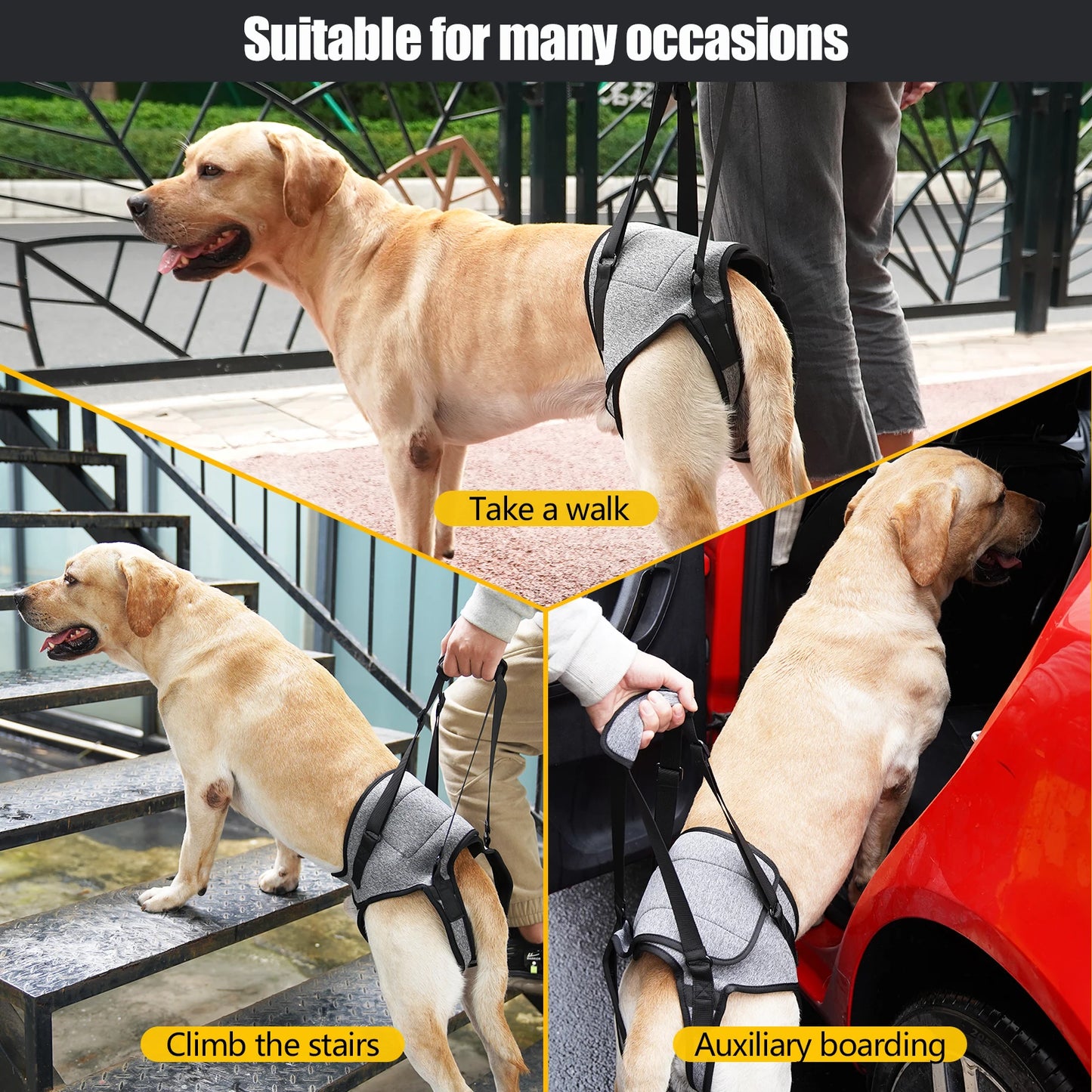 Dog Lift Harness for Large Dogs - Soft Padded Adjustable Back Leg Sling for Senior Pets and Joint Injuries