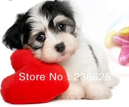20pcs Pet Dog Nail Caps - Soft Paw Protectors Finger Grooming Claw Covers for Dogs S M L XL XXL