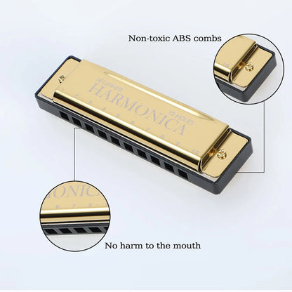 10-Hole C Diatonic Harmonica - Phosphor Bronze Beginner Mouth Organ with Case Kit