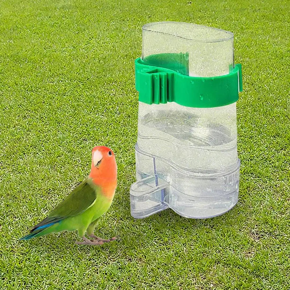 Automatic Bird Water Dispenser - Transparent Cage Drinking Feeder for Budgies, Cockatiels, Lovebirds & Canaries