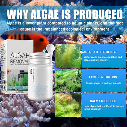 50g Algae & Moss Remover for Fish Tank, Pond, Aquarium – Green Algae & Bactericidal Removal, Improves Water Clarity