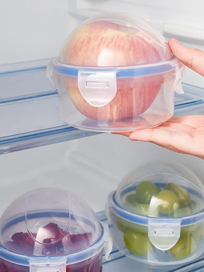 Fruit & Apple Preservation Box with Lid - Sealed Household Storage for Onion, Microwave Rice Heating Box
