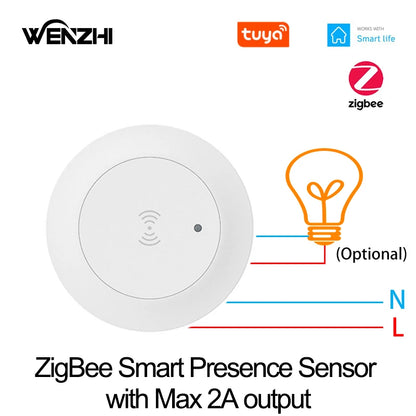 Zigbee & WiFi 24G Motion Sensor Switch – Smart Light Presence Detector with Brightness & Distance Radar, Tuya Smart Life Compatible