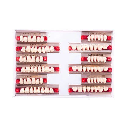 16/12 Set Dental Denture Teeth Model Kit, Upper & Lower Anterior Synthetic Polymer Teeth A2 A3 for Dental Education & Training