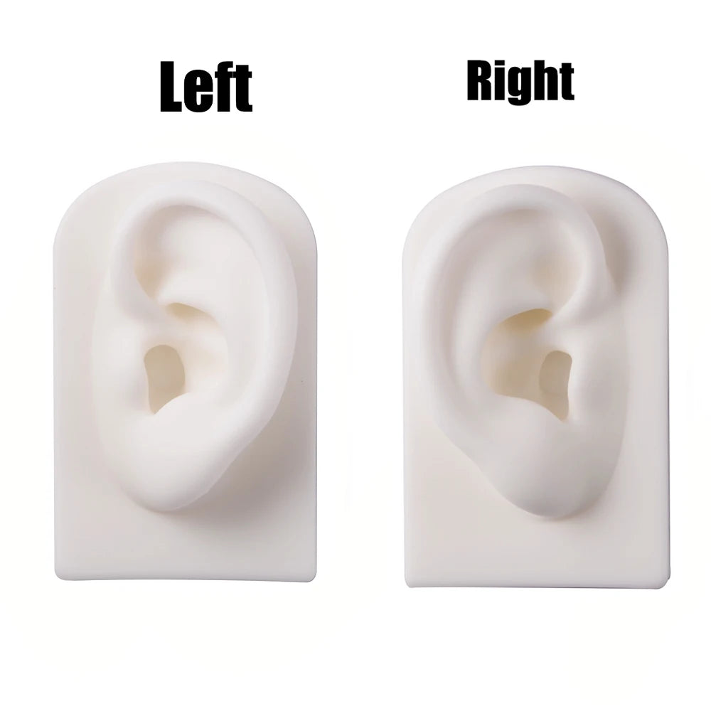 Soft Silicone Ear Nose Mouth Practice Model – Tattoo & Piercing Jewelry Display Stand with Acrylic Earring Holder Kit for Training & Showcase