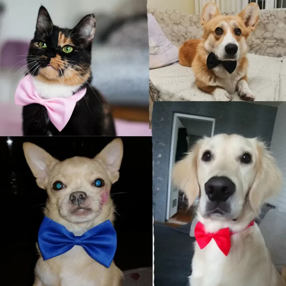 Adjustable Pet Bow Tie Necklace Collar – Cute Puppy & Cat Necktie Grooming Accessories for Dogs & Cats Pet Supplies