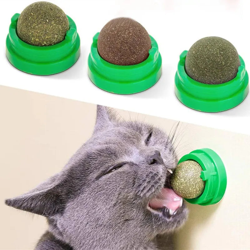 Catnip Wall Stick-on Ball Toy | Natural Scratcher Treats for Cats | Promotes Digestion & Healthy Play | Cat Grass Snack