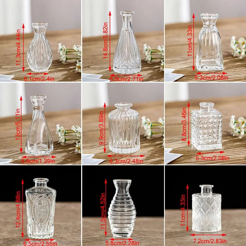 Retro Hydroponic Transparent Glass Vase — INS Style Flower Vase for Desktop, Home, Wedding & Party Decoration