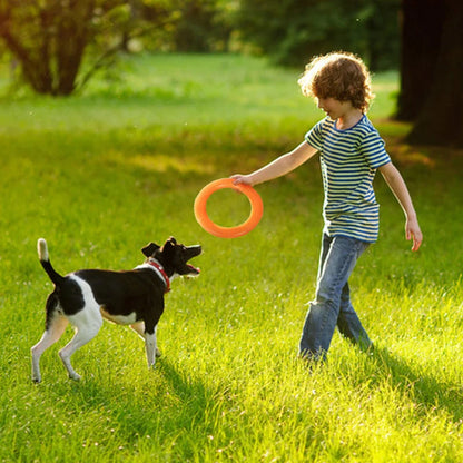 Dog Toy Training Ring Puller and Flying Disk – Interactive Chewing Toys for Puppies | Outdoor Game Supplies