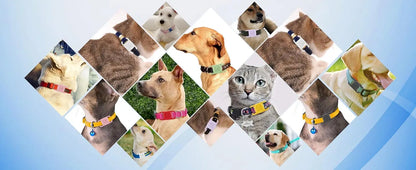 2-Pack AirTag Dog Collar Holders — Waterproof Silicone Hidden Loop Anti-Lost Tracker Accessory