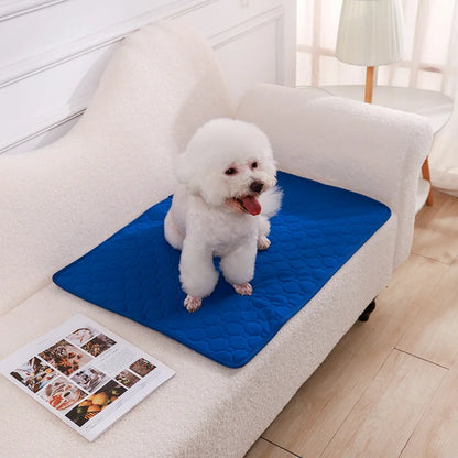 Reusable Dog Pee Pad Blanket – Absorbent Washable Puppy Training Mat & Pet Bed, Urine Protector for Car Seat, Pet Supplies