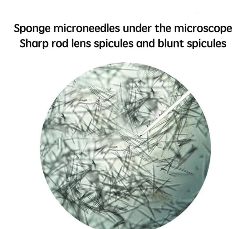 10pcs Sponge Microcrystal Freeze-Dried Powder Collagen Regeneration Sponges – Natural Biological Extract for Skin Cell Renewal