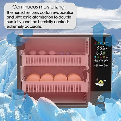 24-Egg Automatic Incubator — Touch Control Hatchery Machine for Chicken, Duck, Quail & Bird Eggs