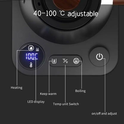 Electric Gooseneck Kettle 900ml — Smart Hand Brew Coffee Pot with Temperature Control & Rapid Heating, 110V/220V