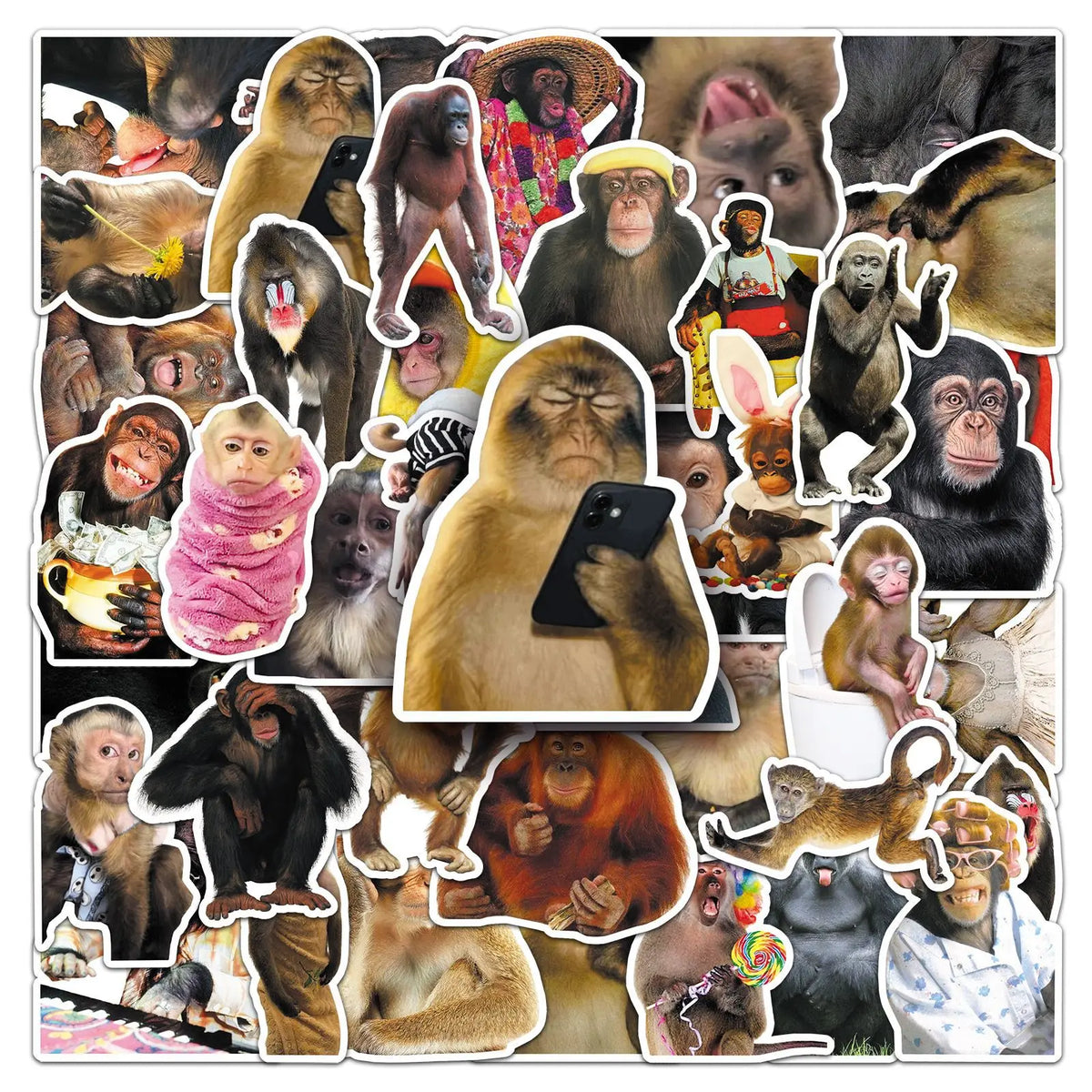 50-Piece Funny Monkey & Orangutan Stickers - Waterproof Cartoon Doodle Decals for Notebooks, Helmets, Suitcases, Motorcycles, and Fridges