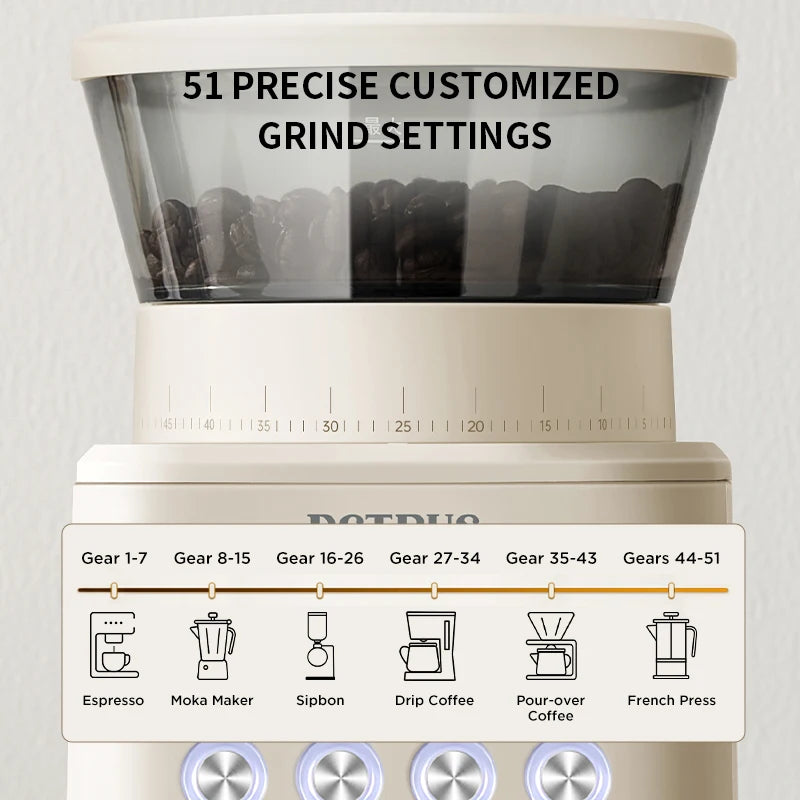 Petrus Electric Coffee Bean Grinder | 51 Precise Settings | Stainless Steel Conical Burr Grinder with Digital Timer Display