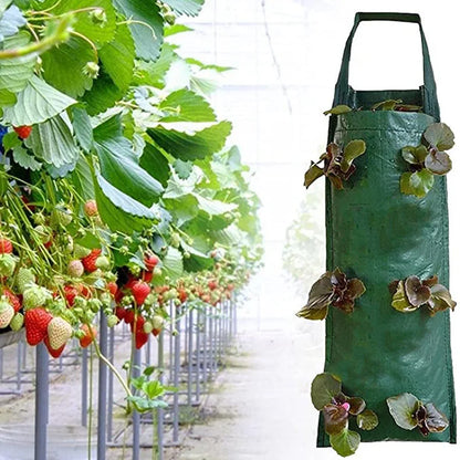 Multi-Function Hanging Grow Bag - Upside Down Planter for Strawberries, Tomatoes, Potatoes, Vegetables & Flowers - Garden Decoration