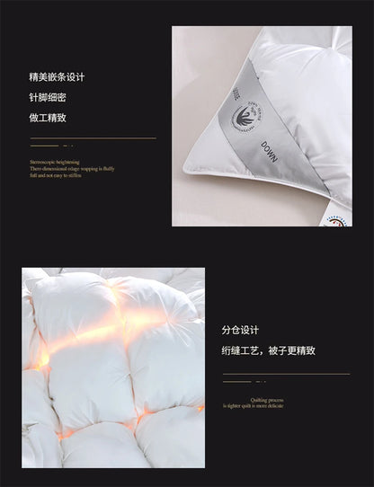 Premium White Goose Down Comforter – Winter Warm Feather Duvet, Lightweight & Cozy, Queen/King Size, Pinch Pleated 3D Design