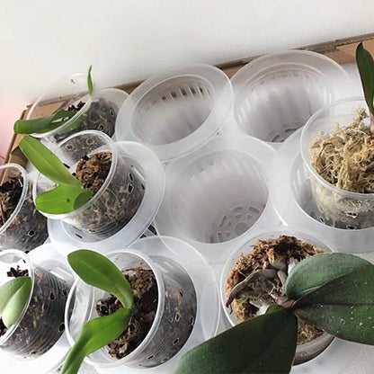 50pcs Hydroponic Mesh Net Baskets — Soilless Plant Nursery Cups for Veggie & Clone Growth