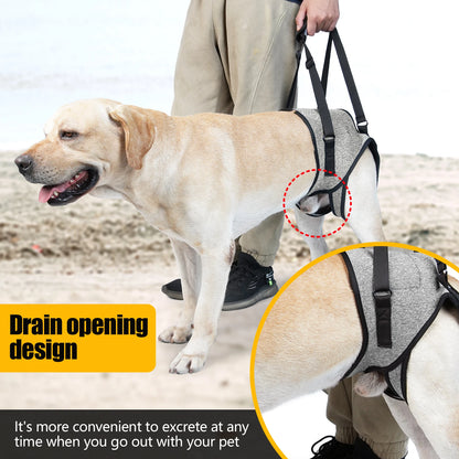 Dog Lift Harness for Large Dogs - Soft Padded Adjustable Back Leg Sling for Senior Pets and Joint Injuries