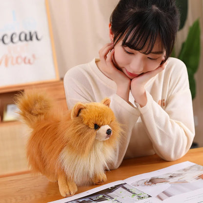 Realistic Pomeranian Plush Toy - Cute Soft Stuffed Puppy for Kids, Girls, Xmas Gifts & Home Decor