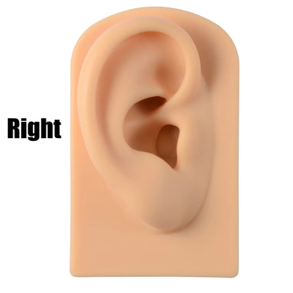 Soft Silicone Ear Nose Mouth Practice Model – Tattoo & Piercing Jewelry Display Stand with Acrylic Earring Holder Kit for Training & Showcase