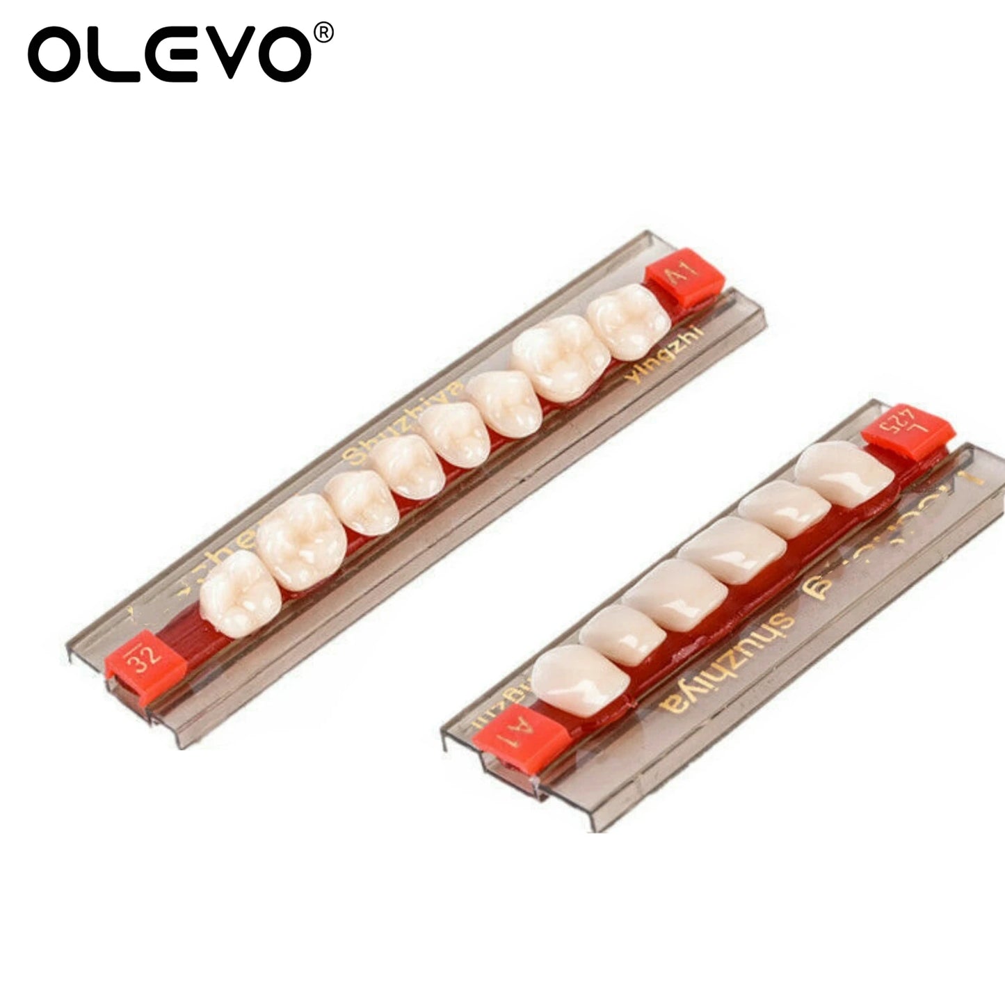 84PCS Dental Acrylic Resin Denture Teeth Set – Full Mouth Upper & Lower False Teeth Model (A1/A2/A3, S/M/L Sizes)
