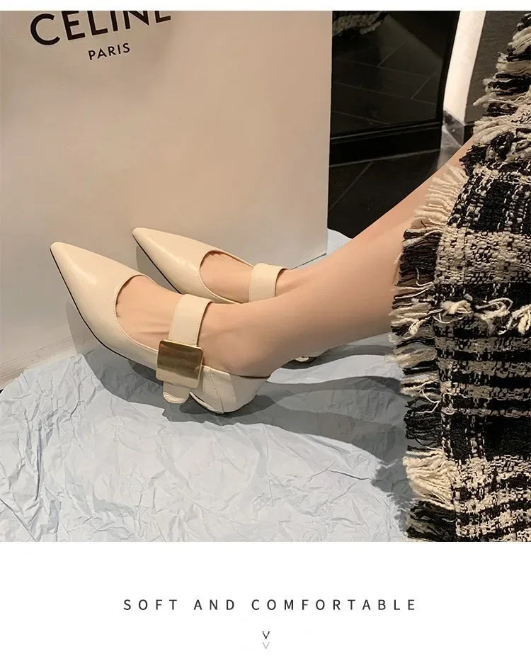 2023 Spring Women’s Suede High Thick Heel Pumps – Black & Apricot Square Toe with Metal Decoration, Elegant Lady Shoes