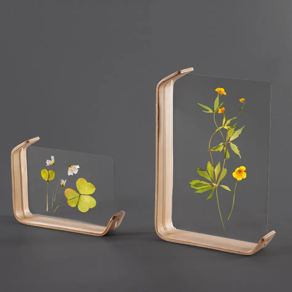 Rustic Acrylic and Wood Herbarium Display Calendar DIY Photo Frame - Perfect for Wedding, Parties, and Home Decor