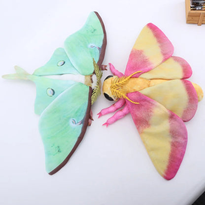Luna Moth & Rosy Maple Moth Plush - Soft Realistic Insect Stuffed Animal Gift
