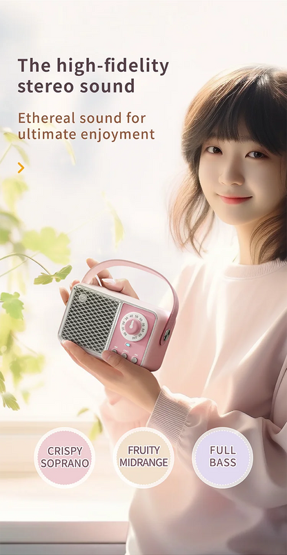 Wireless Portable Bluetooth Speaker — Mini Subwoofer Music Box with Hands-Free Function