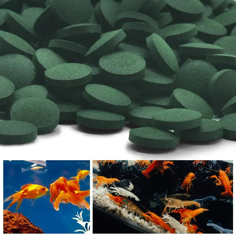 100-3000pc Spirulina Tablets - High Purity Aquarium Fish & Shrimp Food for Crystal Red Shrimp and Tropical Fish