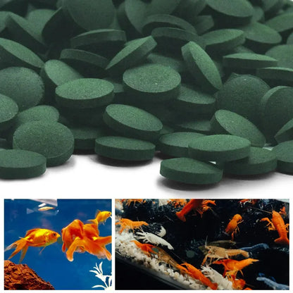 100-3000pc Spirulina Tablets - High Purity Aquarium Fish & Shrimp Food for Crystal Red Shrimp and Tropical Fish