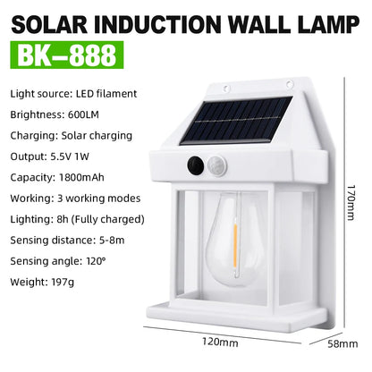 50035619954995|50035619987763|50035620020531|50035620053299