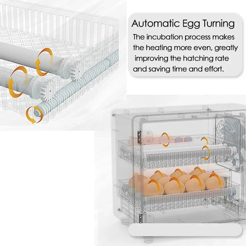 24-Egg Automatic Incubator — Touch Control Hatchery Machine for Chicken, Duck, Quail & Bird Eggs
