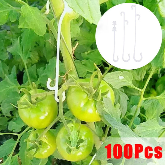 Plant Tomato Support J Hooks - Reusable Trellis Buckle Clips for Vegetables & Climbing Vines (1–100 PCS)