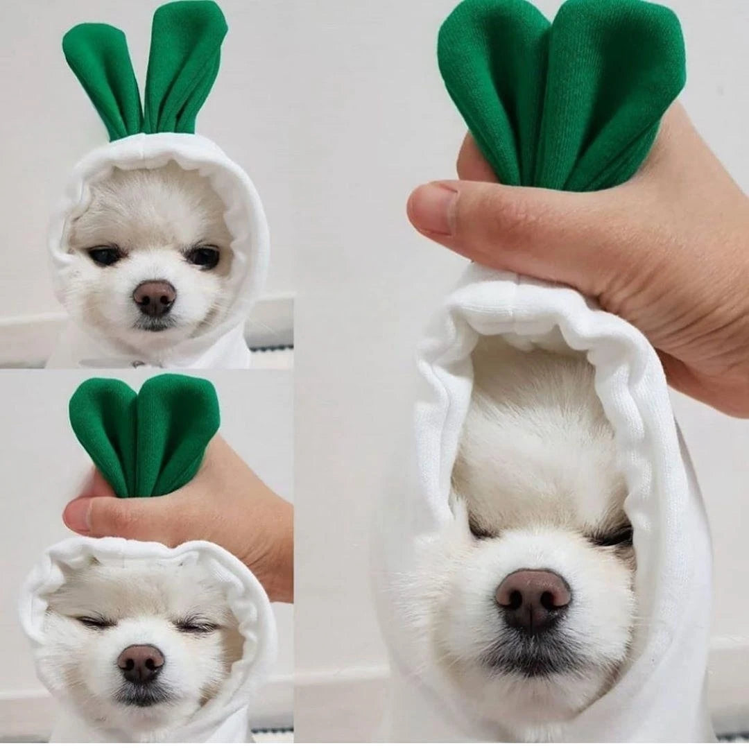 Cute Fruit Hoodies for Small Dogs and Cats – Warm Fleece Pet Costume Coat for Puppies and Small to Medium Pets