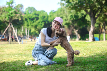 Adjustable Pet Dog Baseball Cap – Cute Travel Sun Visor Hat with Ear Holes | Outdoor Breathable Sport Pet Cap for Dogs
