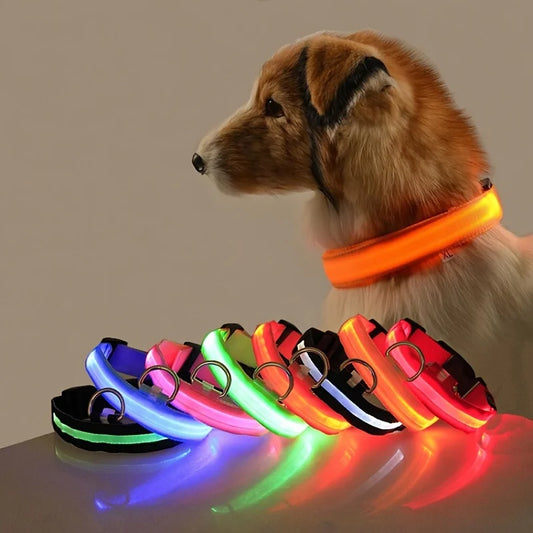 Nylon LED Night Safety Dog Leash: Flashing Glow-in-the-Dark Luminous Fluorescent Pet Collar