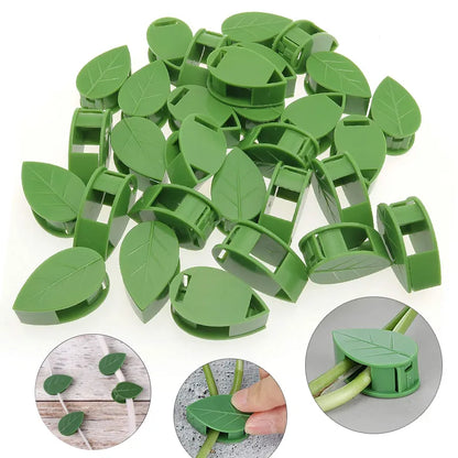 Versatile Plant Wall Fixture and Bracket - Secure Your Rattan Vines with Leaf Clips and Traction Holder for Gardens
