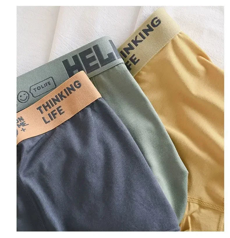 Pokemon Anime Men's Boxer Briefs — Charmander, Charizard, Bulbasaur, Gengar & Pikachu Antibacterial Underwear Shorts Gift