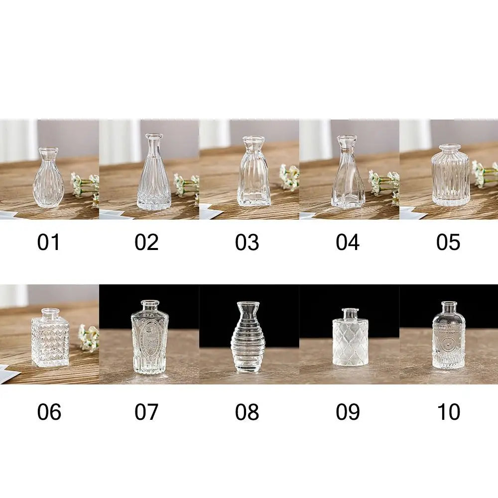 Retro Hydroponic Transparent Glass Vase — INS Style Flower Vase for Desktop, Home, Wedding & Party Decoration