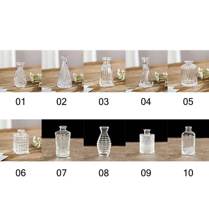 Retro Hydroponic Transparent Glass Vase — INS Style Flower Vase for Desktop, Home, Wedding & Party Decoration