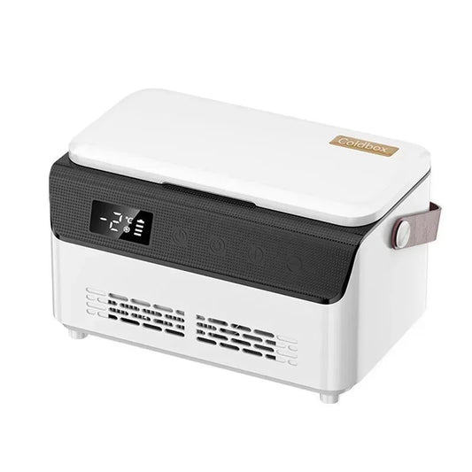 Portable Insulin Cooler Box - 220V Mini Refrigeration Storage Case with USB Charging Battery for Medication Cooling