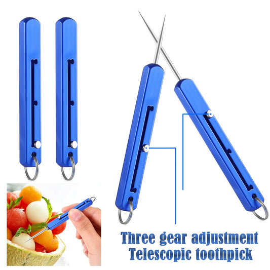Portable Titanium Toothpick Set - Reusable Telescopic Metal Toothpick Holder with Keychain Pocket Tool