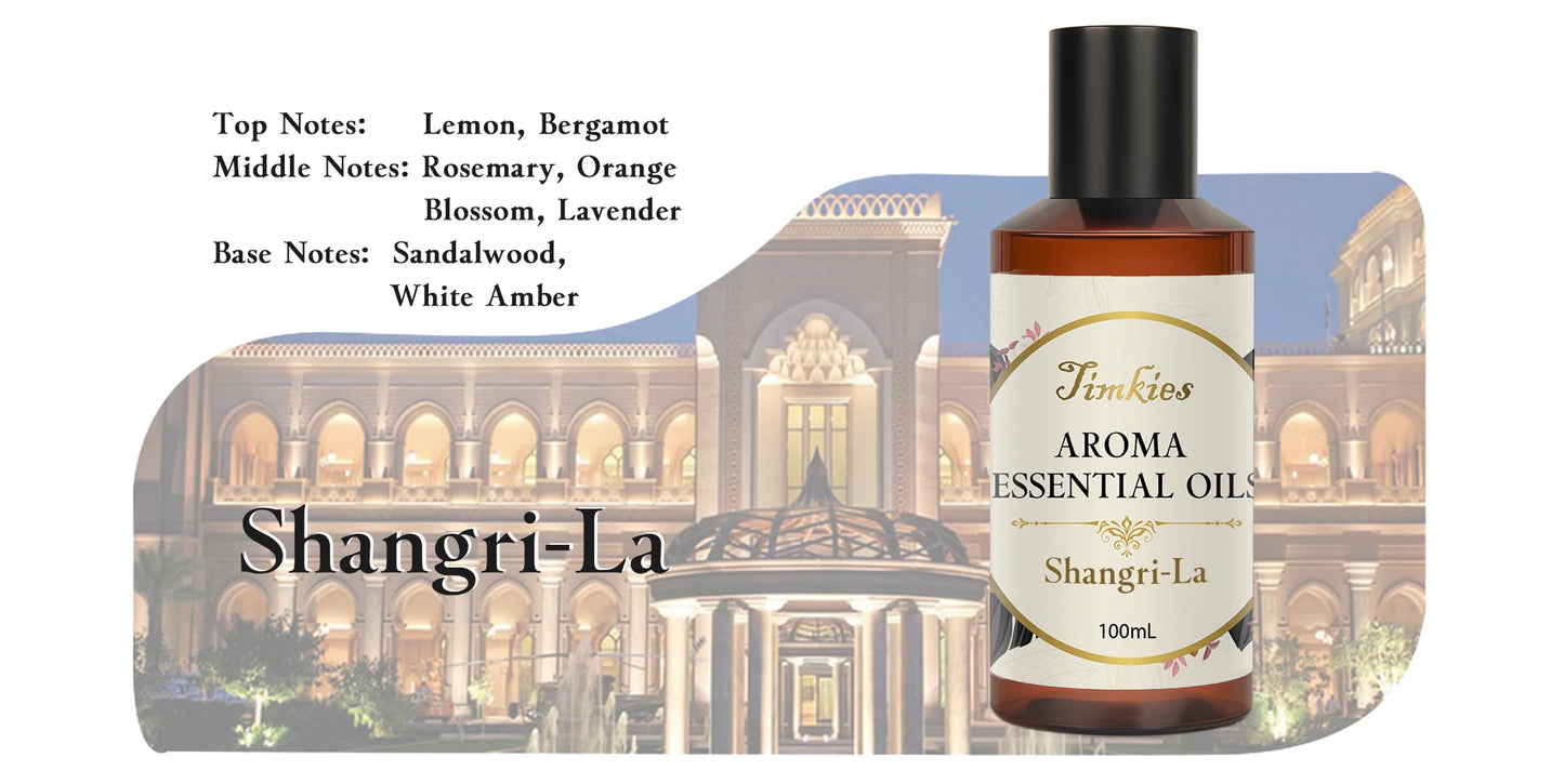 100ML Hotel Room Fragrance Diffuser – Air Freshener for Home, Car, and Office – Ritz Carlton & Hilton Scent, Humidifier & Essential Oil Refill   2/2