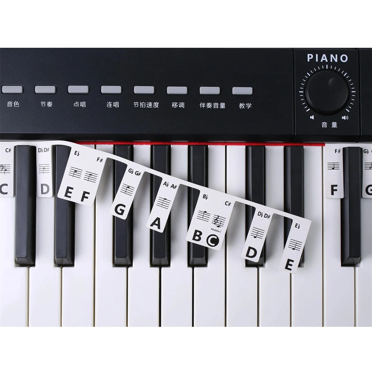 Miwayer Removable Piano Keyboard Stickers – Note Labels for 88/61 Keys, Learning Guide for Beginners