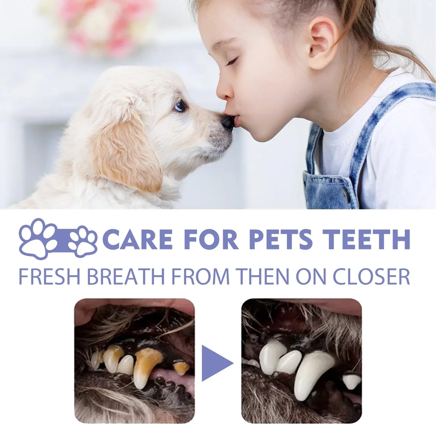 50ml Pet Oral Cleanse Spray - Freshen Dog and Cat Breath, Prevent Calculus, Remove Bad Breath, and Teeth Cleanser