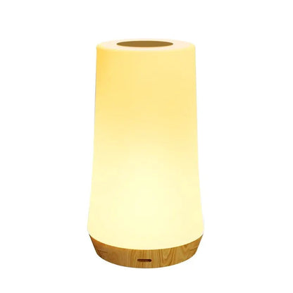 13 Color Changing Night Light - Remote Control Touch USB Rechargeable RGB Lamp, Dimmable Portable Table Bedside Lamp